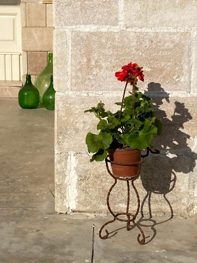 Villa Vita Oria  Luaran gambar